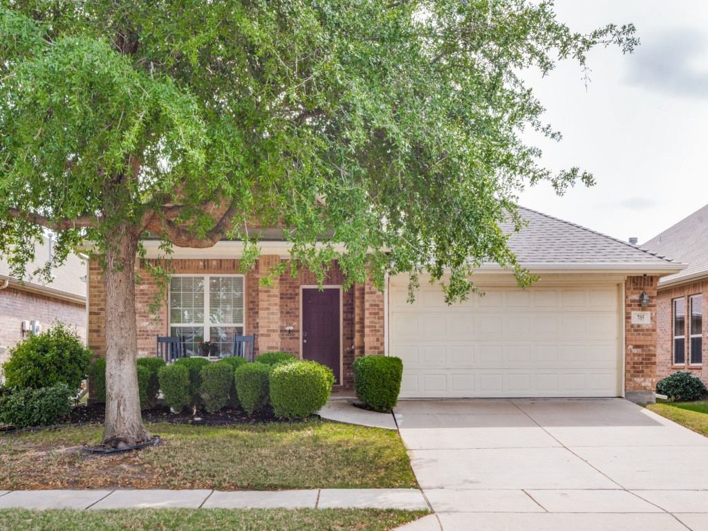 705 Lovebird Lane, Little Elm, TX 75068 — photo 1