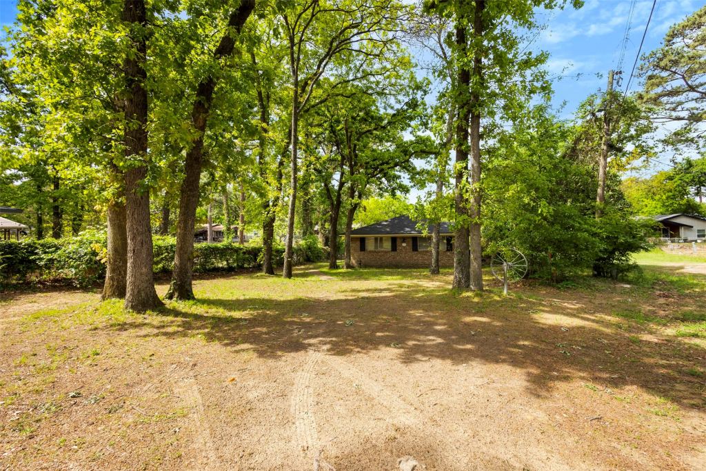 111 Island Park Drive, Gun Barrel City, TX 75156 — photo 1