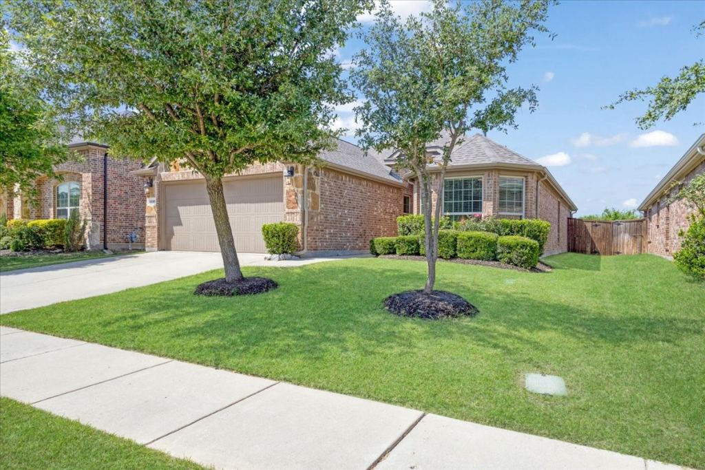 1125 Elizabeth Street, Anna, TX 75409 — photo 1
