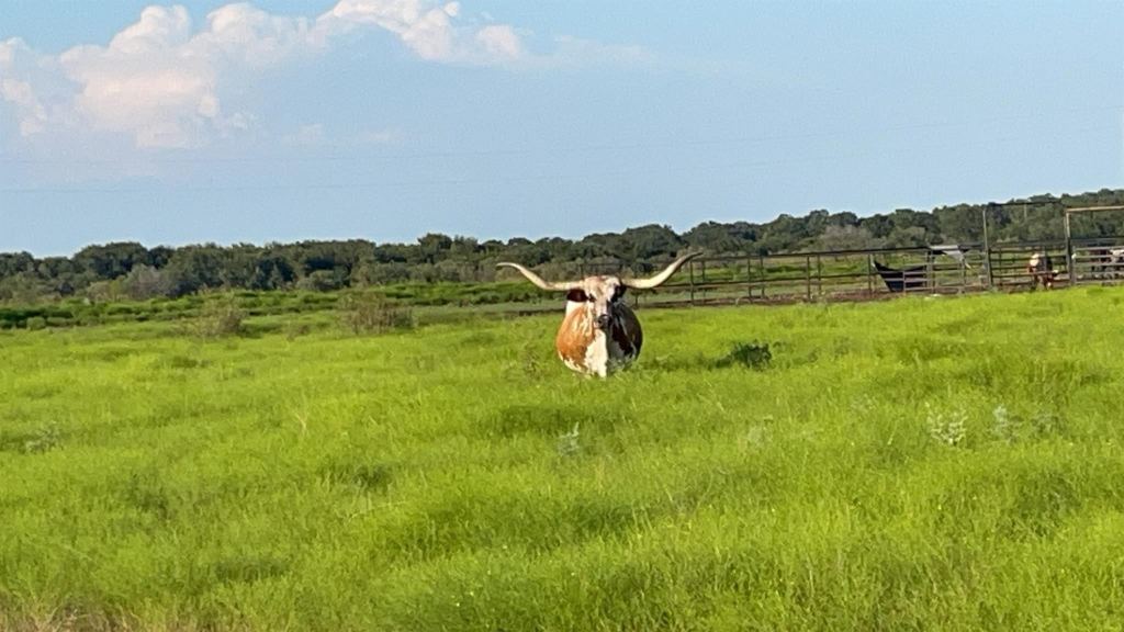 4565 County Road 140, Stephenville, TX 76401 — photo 1