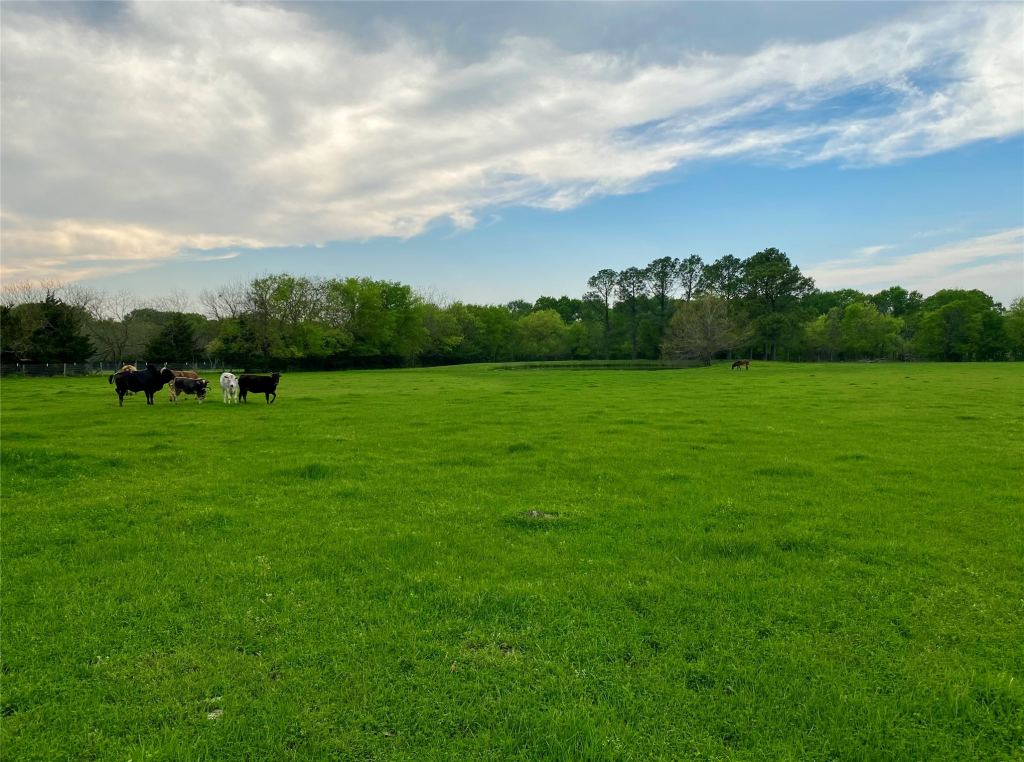 7984 County road 2582, Royse City, TX 75189 — photo 1
