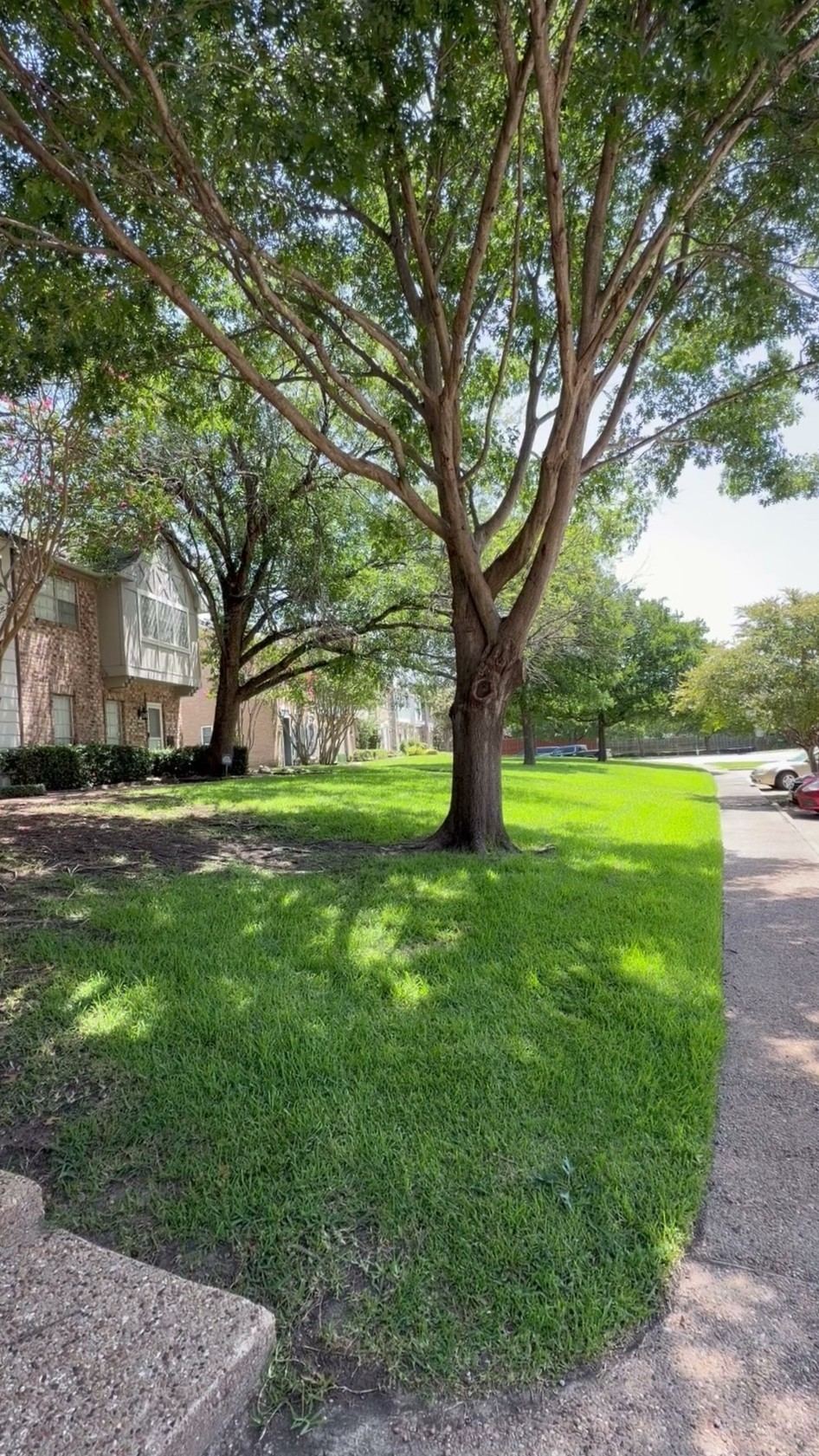 625 Trailwood Court, Garland, TX 75043 — photo 1