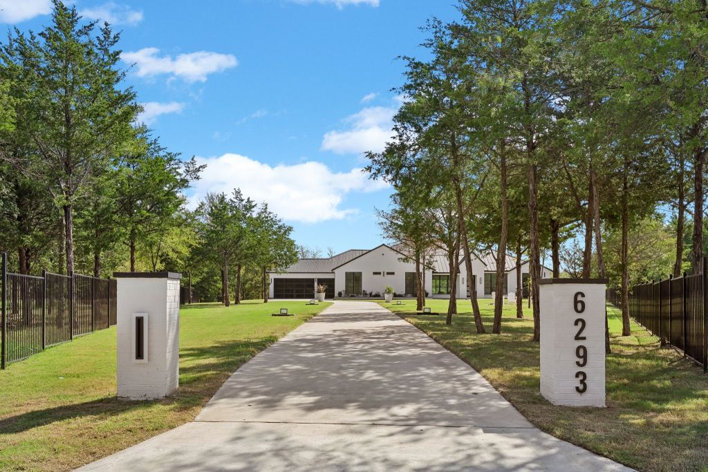 6293 Blackjack Oak