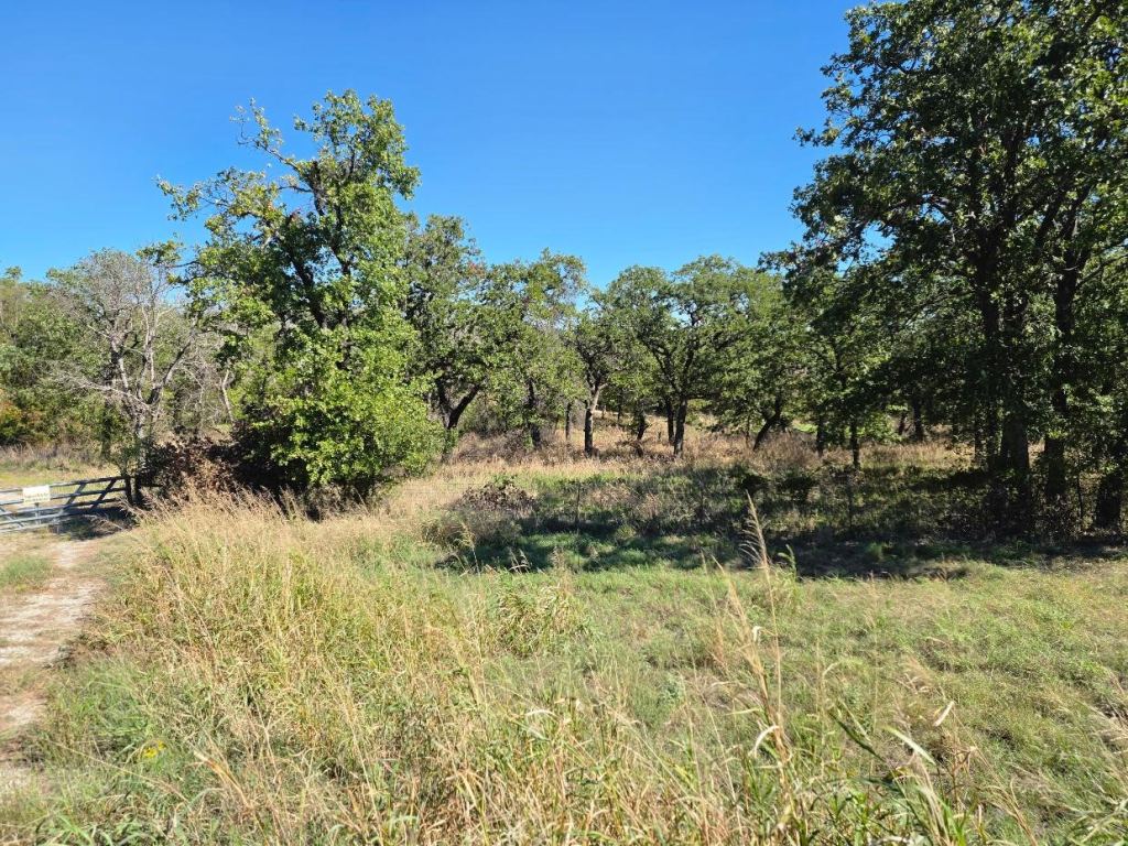 1633 Three Skillet Road, Springtown, TX 76082 — photo 1