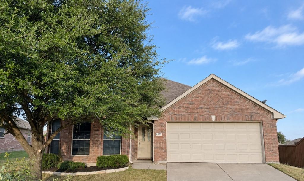 2803 Arabian Lane, Celina, TX 75009 — photo 1