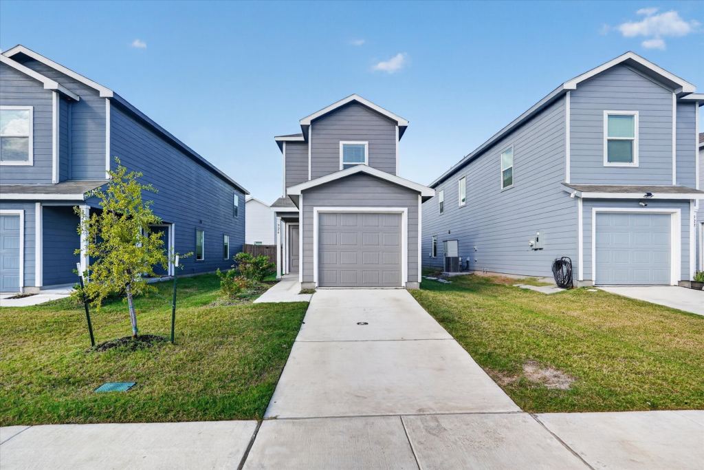 924 Sandhill Crane Lane, Princeton, TX 75407 — photo 1