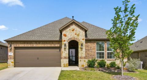 11217 Shady Meadows Way, Aubrey, TX 76227 — photo 3