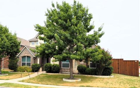 14012 Badger Creek Drive, Frisco, TX 75033 — photo 3