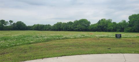 000 Deer Run Trail, Farmersville, TX 75442 — photo 3
