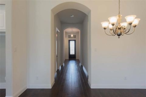 867 Forest Street, Little Elm, TX 76227 — photo 3