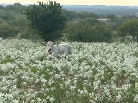 381 Private Road 4512, Decatur, TX 76234 — photo 2