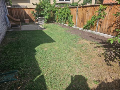 1537 Collin Drive, Allen, TX 75002 — photo 3