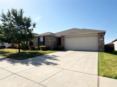 3020 Manuel Creek Drive, Little Elm, TX 75068 — photo 3