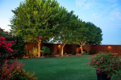 2423 French Street, Fate, TX 75189 — photo 3