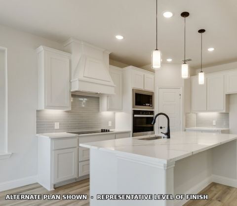 452 McAlpine Drive, Springtown, TX 76082 — photo 3