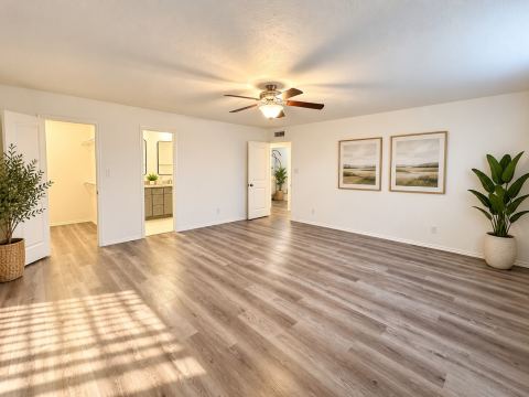 1101 Lombardy Drive, Plano, TX 75023 — photo 3
