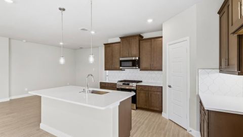 17125 MANZANILLA Drive, Justin, TX 76247 — photo 3