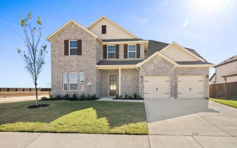 203 Yaupon Holly Street, Lavon