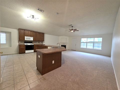 4425 Chaparral Creek Drive, Fort Worth, TX 76123 — photo 3