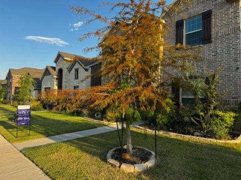 1120 Western Yarrow Avenue, Justin, TX 76247 — photo 2