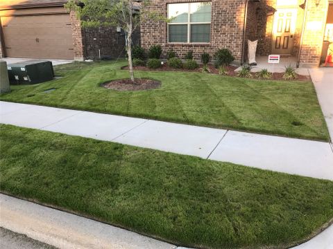 145 Bridlewood Street, Azle