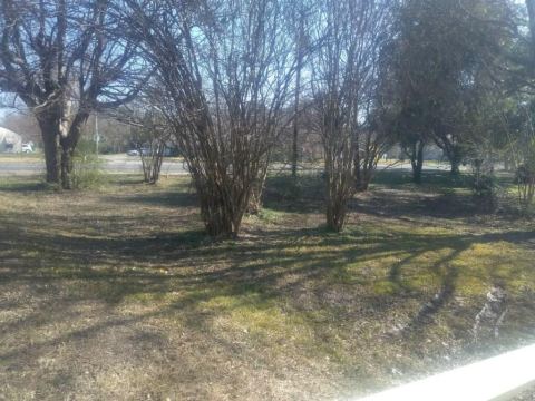 1211 Wolfe City Drive, Greenville, TX 75401 — photo 2