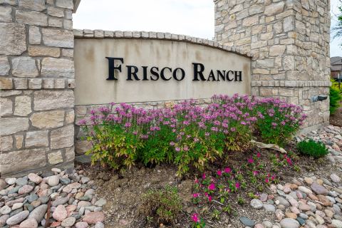 1505 Lone Pine Drive, Little Elm, TX 75068 — photo 2