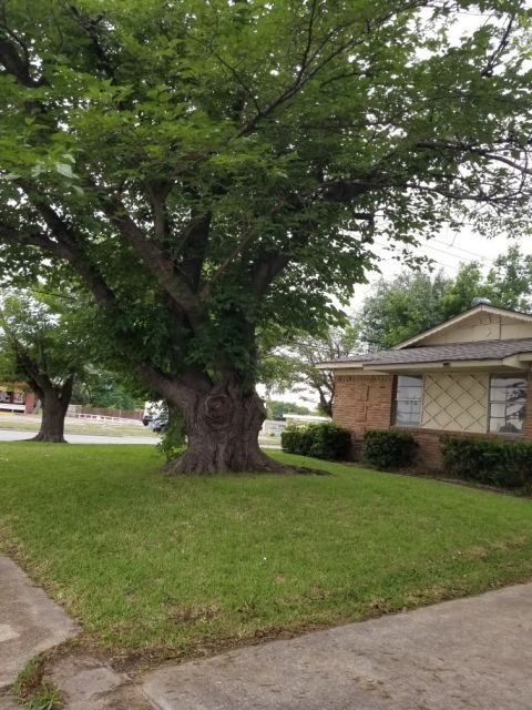 3261 Santiago Drive, Mesquite, TX 75150 — photo 3