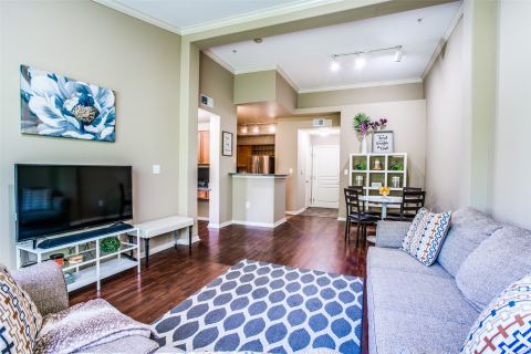 330 Las Colinas Boulevard E 464, Irving, TX 75039 — photo 3