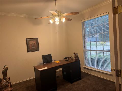311 Holly Leaf Trail, Forney, TX 75126 — photo 3