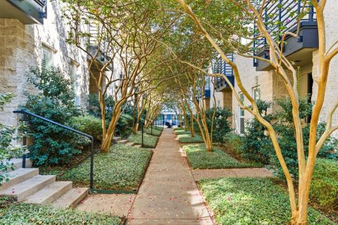 4312 Mckinney Avenue 8, Dallas, TX 75205 — photo 2