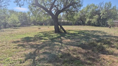 1006 SE Martin Luther King Jr Street SE, Mineral Wells, TX 76067 — photo 3
