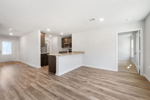 4269 Lava Forest Lane, Dallas, TX 75241 — photo 3