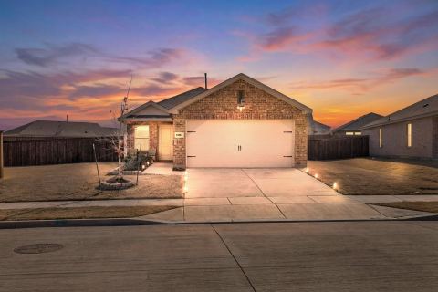 14164 Danesdale Drive, Pilot Point, TX 76258 — photo 2