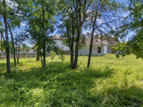 3802 College Street, Greenville, TX 75401 — photo 2