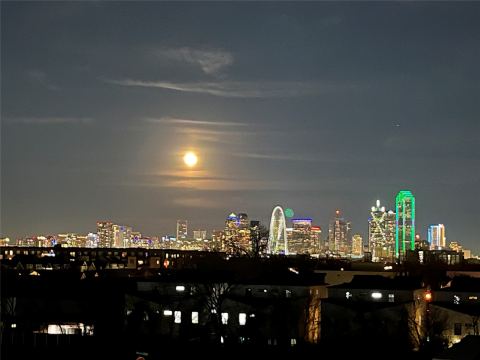 1410 Elevado Drive, Dallas, TX 75212 — photo 2