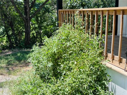 3006 Wagon Train Trail, Granbury, TX 76048 — photo 2