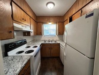 1107 N Locust Street 3, Denton, TX 76201 — photo 3