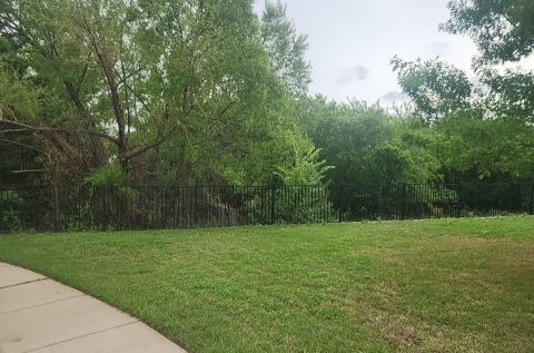 12024 Clearpoint Court, Frisco, TX 75036 — photo 3