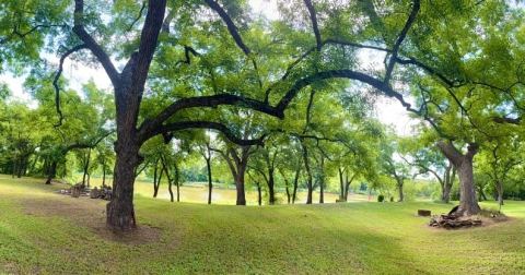 8704 Frontier Court, Granbury