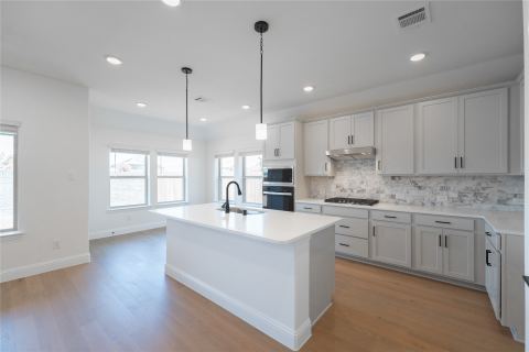 2212 Valencia Drive, Little Elm, TX 75068 — photo 3
