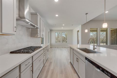 15028 Pizarro Court, Little Elm, TX 75068 — photo 3