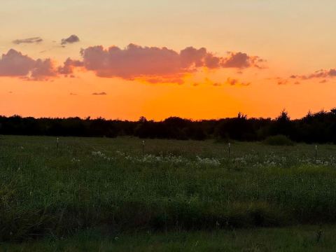 20132 County Road 818, Farmersville, TX 75442 — photo 2