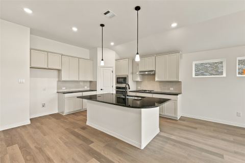 16521 Japanese Maple Drive, Fort Worth, TX 76247 — photo 2