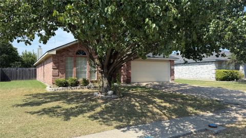 207 Lake Wichita Drive, Wylie, TX 75098 — photo 3