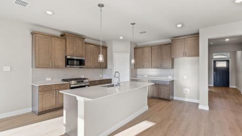 17124 MANZANILLA Drive, Justin, TX 76247 — photo 3