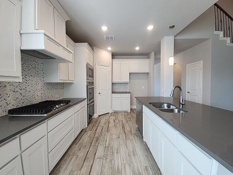 900 Superbloom Avenue, Justin, TX 76247 — photo 3