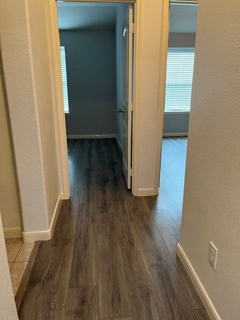 4665 Elderberry Street, Forney, TX 75126 — photo 3