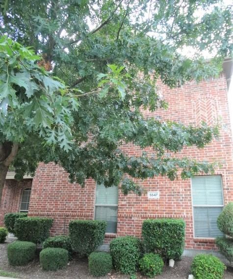 5547 Cecina Drive, Frisco, TX 75034 — photo 2