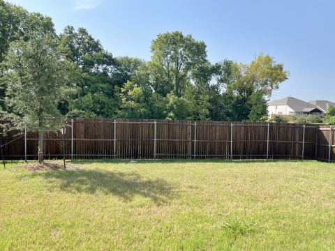 3513 Red Cardinal Court, McKinney, TX 75071 — photo 3